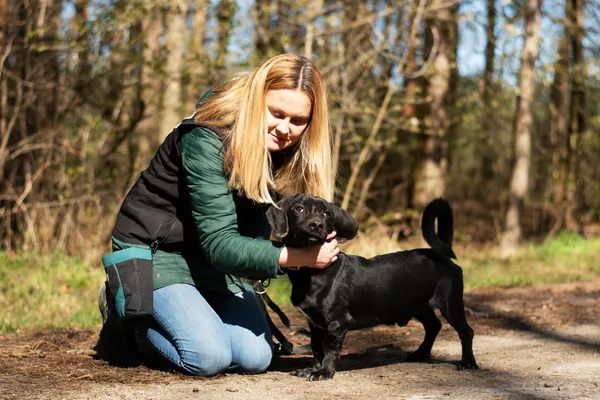 Pies do adopcji, Nowodwór, 5 maja 2025 (3/5)