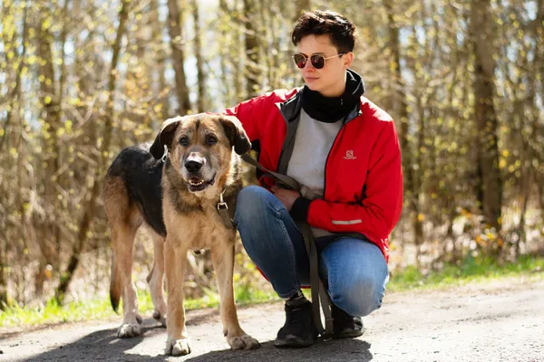 Pies do adopcji, Nowodwór, 5 maja 2025 (1/5)