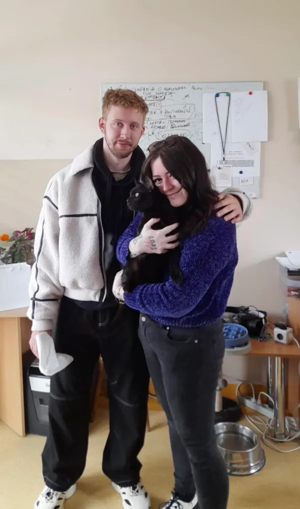 Kot do adopcji, Gdańsk, 7 maja 2025