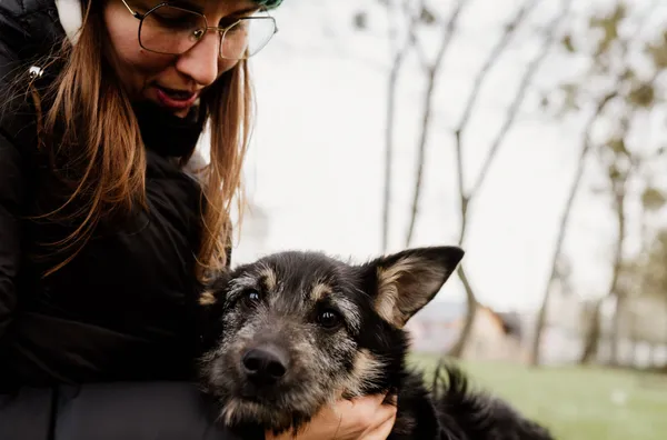 Pies do adopcji, Nowodwór, 7 maja 2025 (5/5)