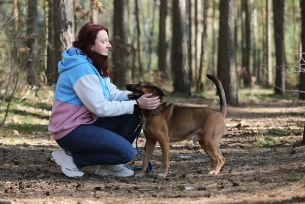 Pies do adopcji, Piła, 6 marca 2025 (4/5)