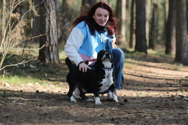 Pies do adopcji, Piła, 18 lutego 2025 (3/5)