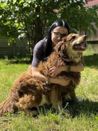 Pies do adopcji, Kraków, 28 kwietnia 2025 (4/5)