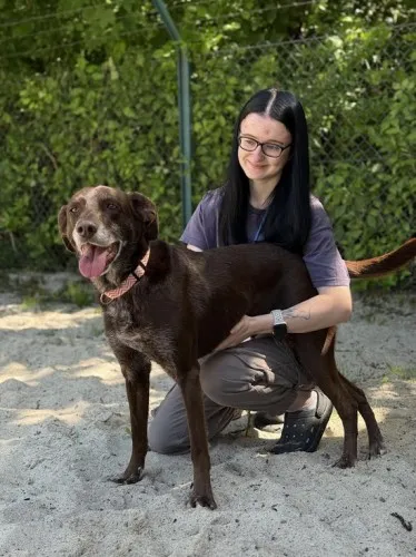 Pies do adopcji, Kraków, 28 kwietnia 2025 (1/5)