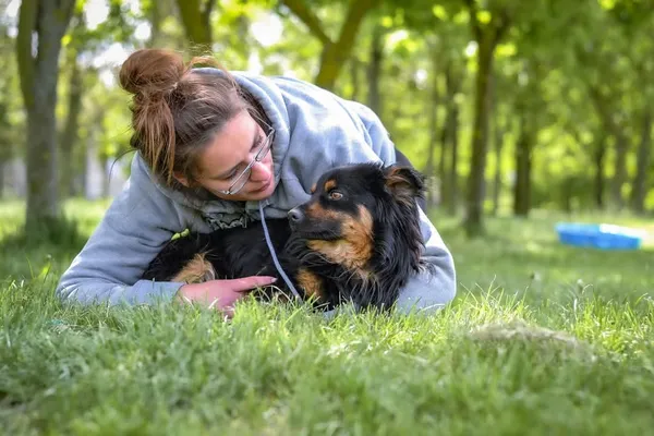 Pies do adopcji, Radom, 19 maja 2025 (4/5)