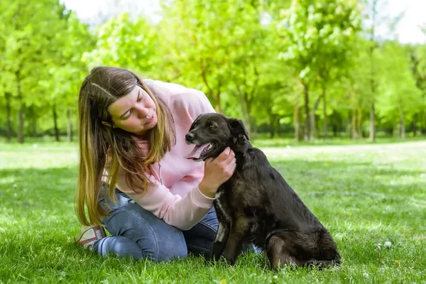 Pies do adopcji, Radom, 12 maja 2025 (3/5)