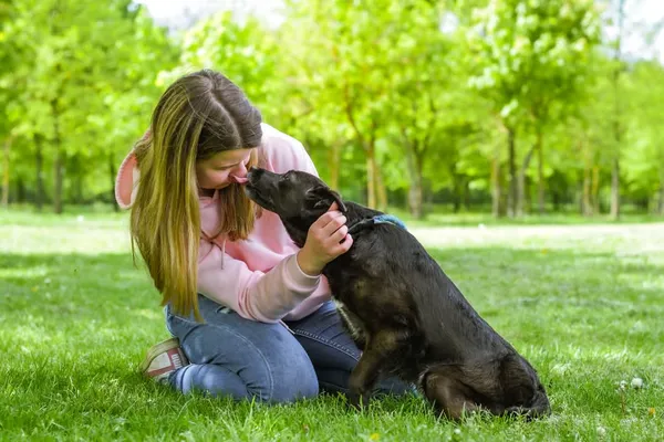 Pies do adopcji, Radom, 12 maja 2025 (4/5)