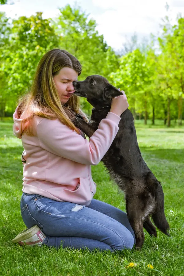 Pies do adopcji, Radom, 12 maja 2025 (5/5)