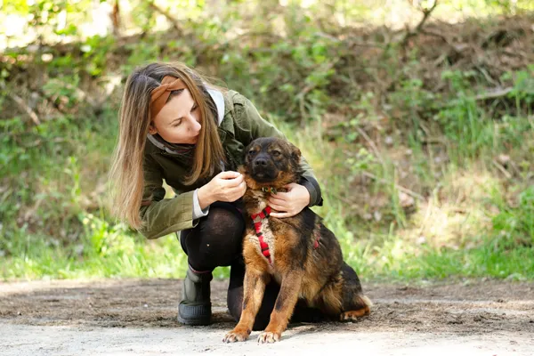 Pies do adopcji, Nowodwór, 12 maja 2025 (1/5)