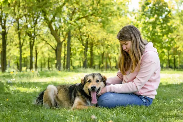 Pies do adopcji, Radom, 19 maja 2025 (3/5)