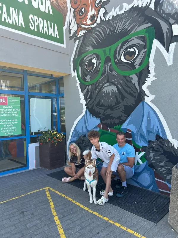 Pies do adopcji, Gdańsk, 20 maja 2025