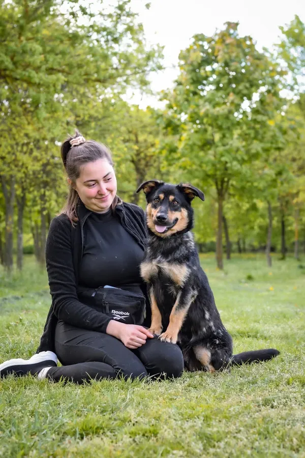 Pies do adopcji, Radom, 19 maja 2025 (3/5)