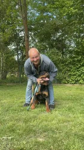 Pies do adopcji, Kraków, 6 maja 2025 (5/5)