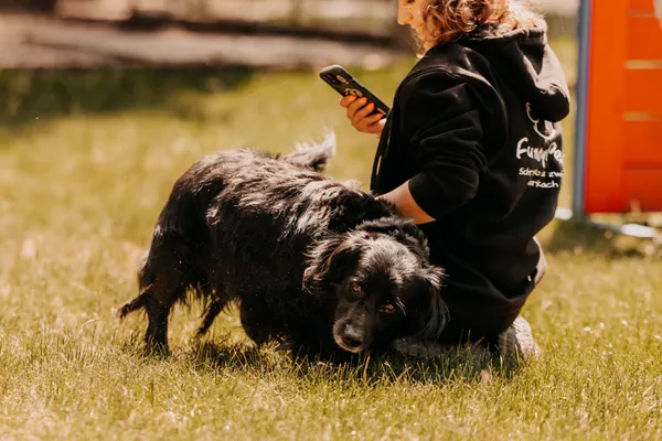 Pies do adopcji, Czartki, 21 maja 2025 (3/5)