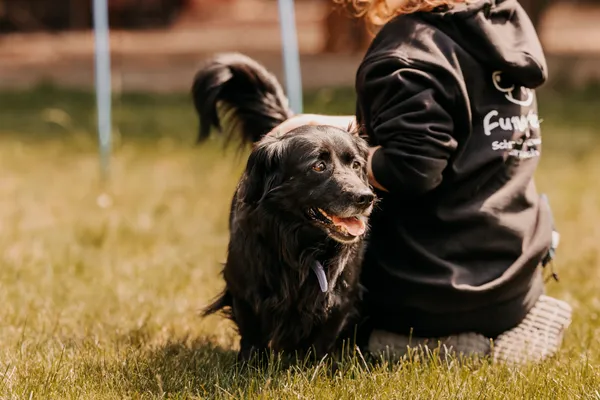 Pies do adopcji, Czartki, 21 maja 2025 (4/5)