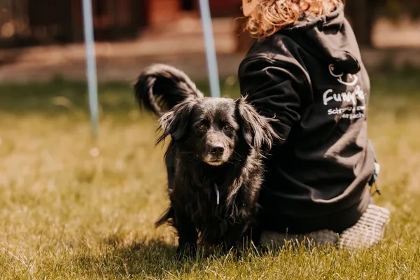 Pies do adopcji, Czartki, 21 maja 2025 (5/5)