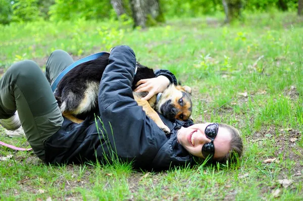 Pies do adopcji, Milanówek, 26 maja 2025 (1/5)