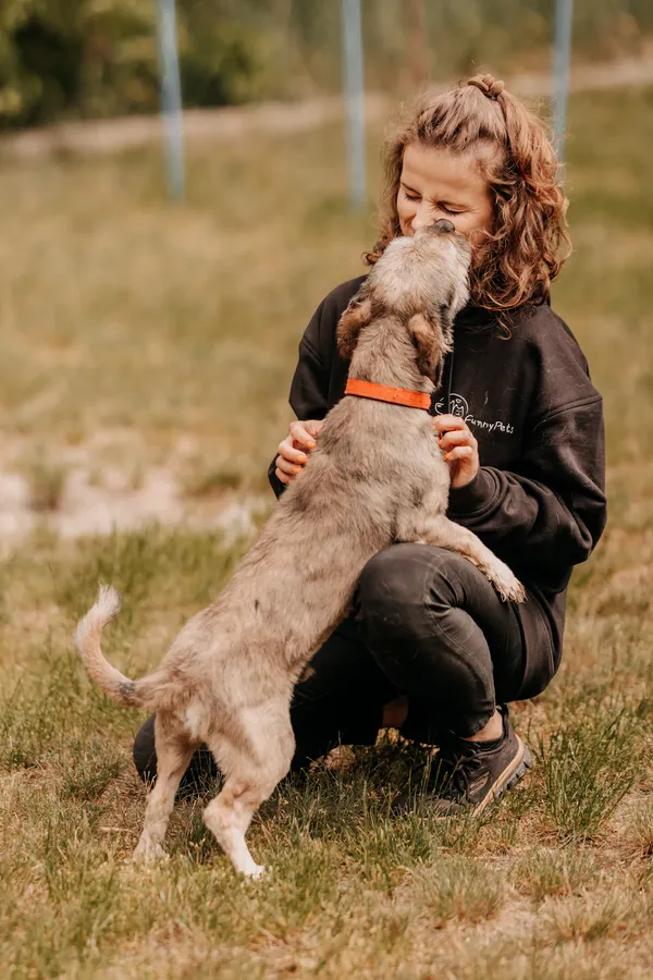 Pies do adopcji, Czartki, 22 maja 2025 (5/5)