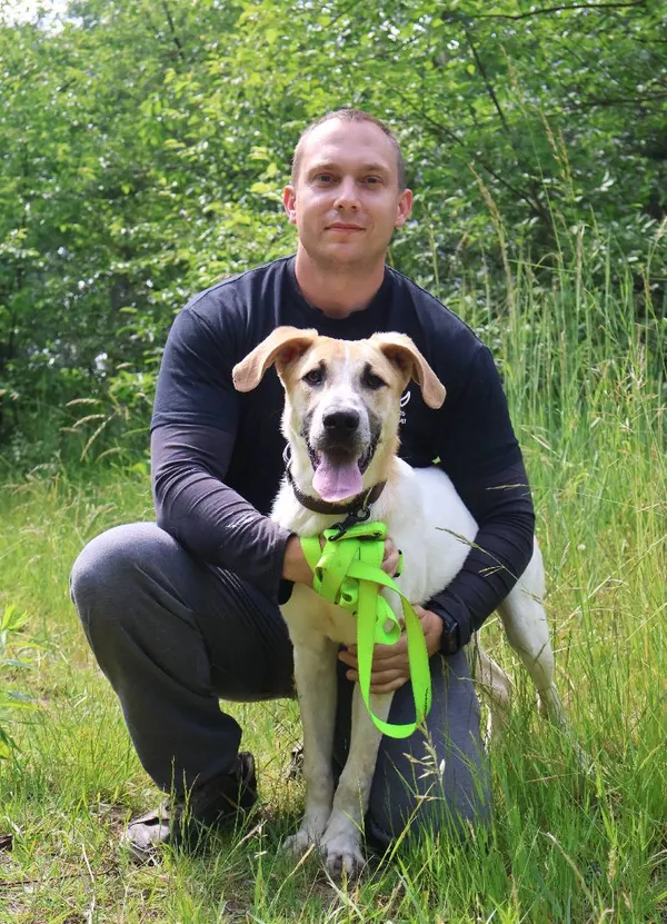 Znaleziono psa, Łódź, 25 maja 2025 (3/5)