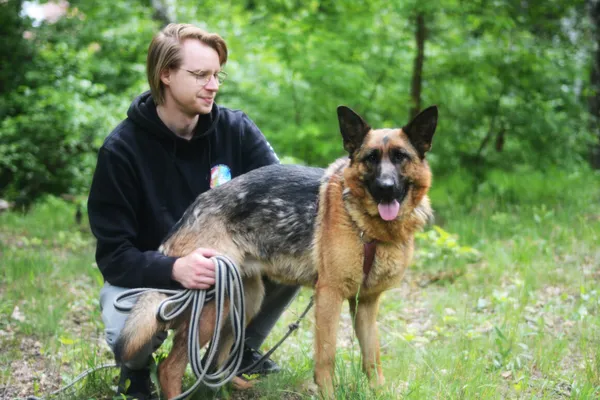 Pies do adopcji, Milanówek, 25 maja 2025 (2/5)