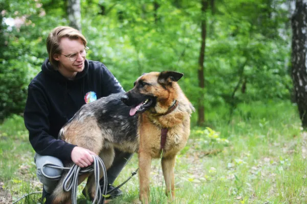 Pies do adopcji, Milanówek, 25 maja 2025 (3/5)