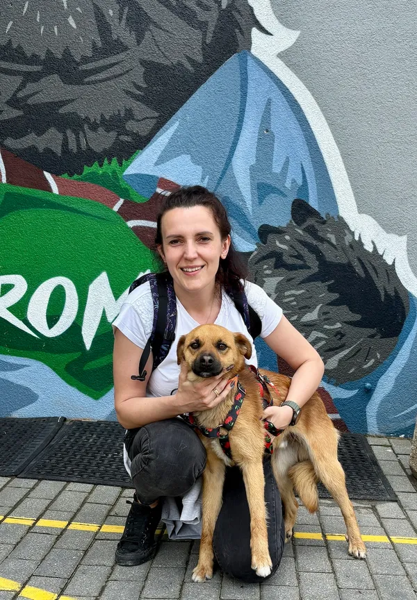 Pies do adopcji, Gdańsk, 25 maja 2025