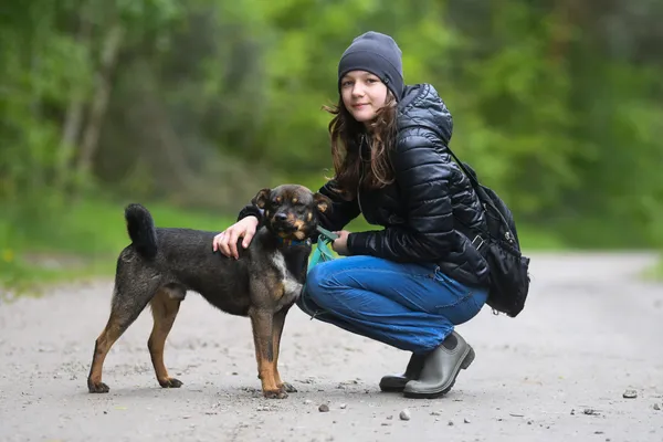 Pies do adopcji, Nowodwór, 27 maja 2025 (2/5)