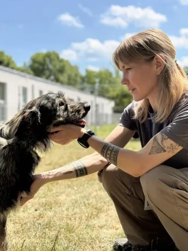 Pies do adopcji, Kraków, 14 maja 2025 (4/5)