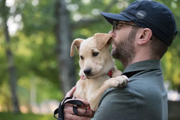 Pies do adopcji, Nowodwór, 28 maja 2025 (2/5)