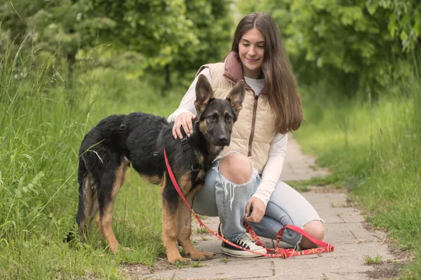 Pies do adopcji, Nowodwór, 28 maja 2025 (4/5)