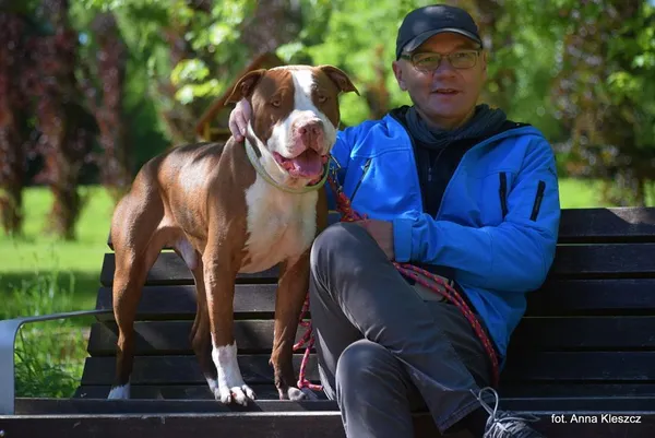 Znaleziono psa, Toruń, 6 marca 2025