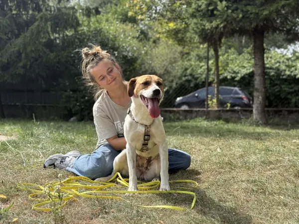 Pies do adopcji, Kraków, 25 maja 2025 (5/5)