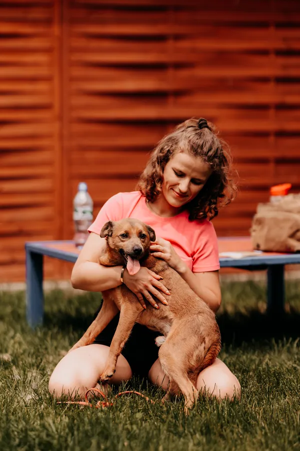 Pies do adopcji, Czartki, 11 czerwca 2025 (2/5)