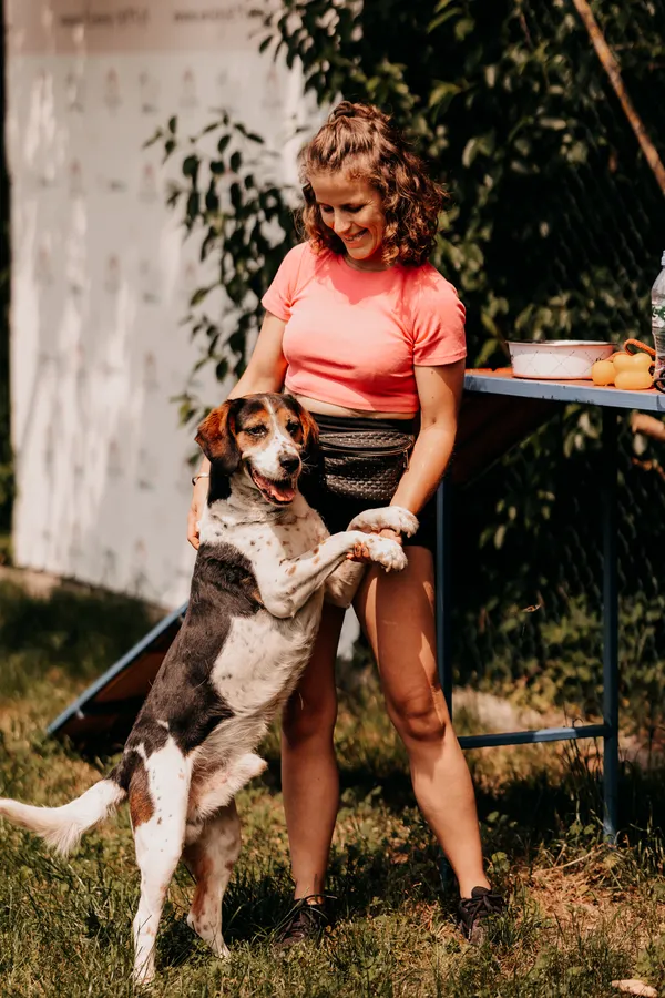 Pies do adopcji, Czartki, 11 czerwca 2025 (2/5)