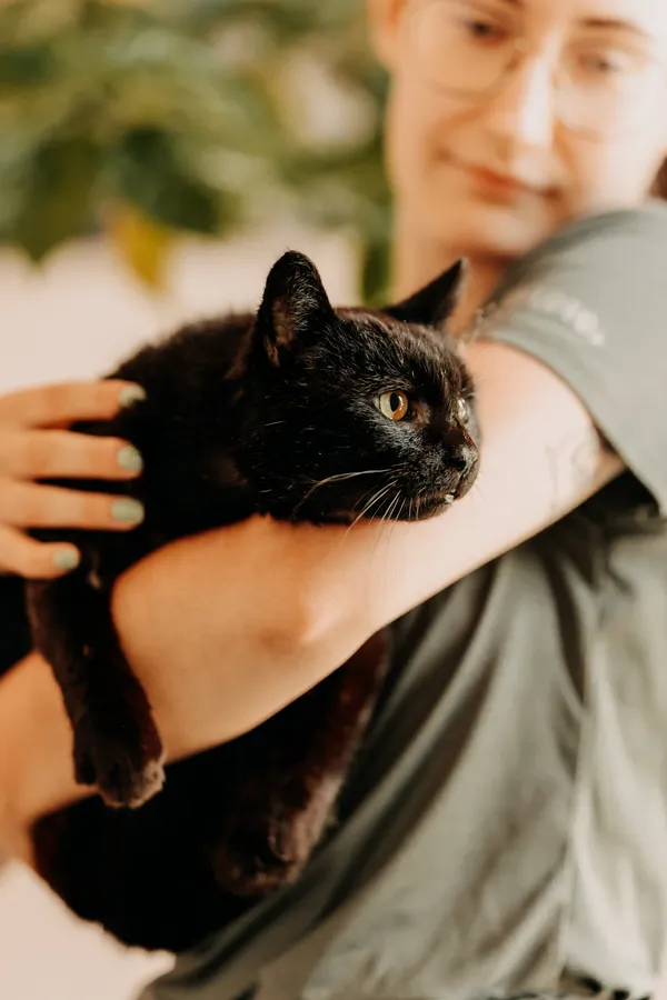 Kot do adopcji, Czartki, 12 czerwca 2025 (1/3)