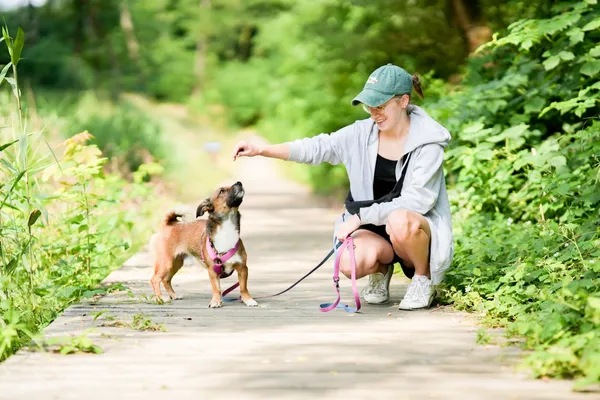 Znaleziono psa, Sosnowiec, 14 czerwca 2025 (2/5)