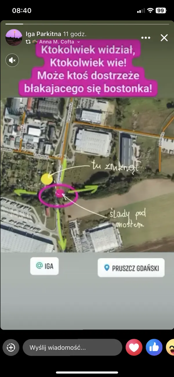 Zaginął pies, Pruszcz Gdański, 23 czerwca 2025 (2/3)