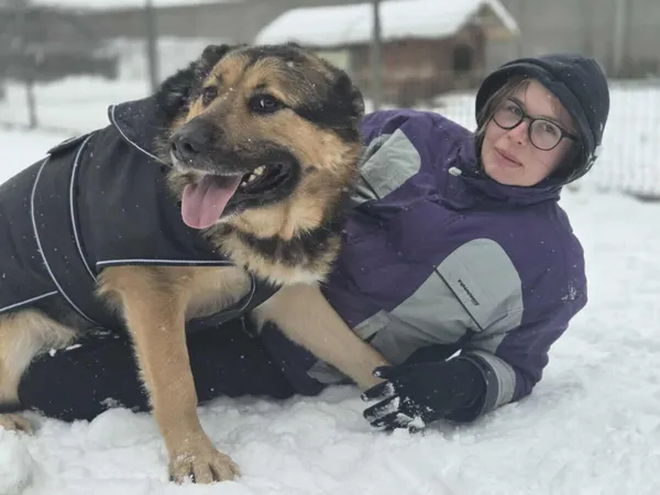 Pies do adopcji, Zgierz, 24 czerwca 2025 (1/5)