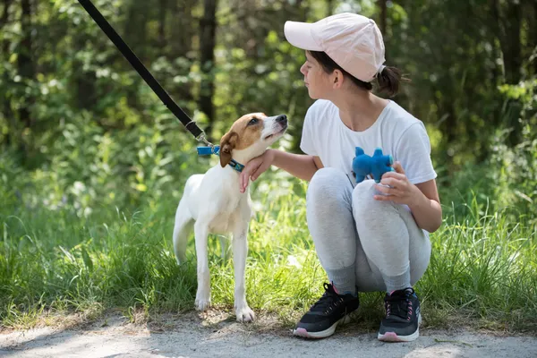 Pies do adopcji, Nowodwór, 24 czerwca 2025 (2/5)