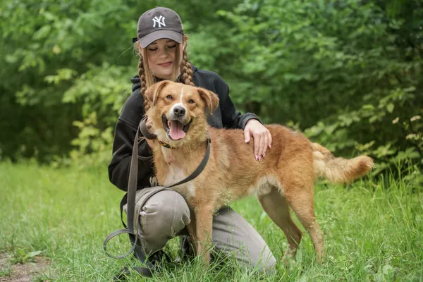 Pies do adopcji, Nowodwór, 24 czerwca 2025 (4/5)