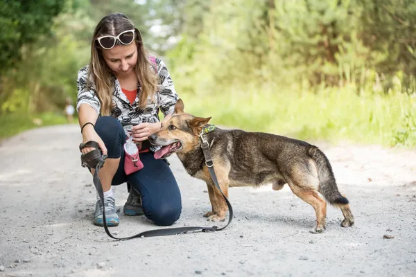 Pies do adopcji, Nowodwór, 24 czerwca 2025 (2/5)