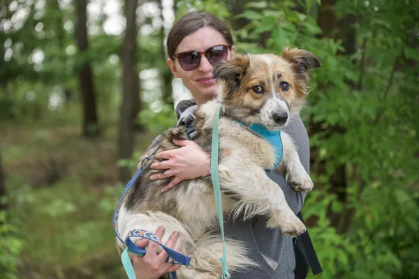 Pies do adopcji, Nowodwór, 24 czerwca 2025 (5/5)