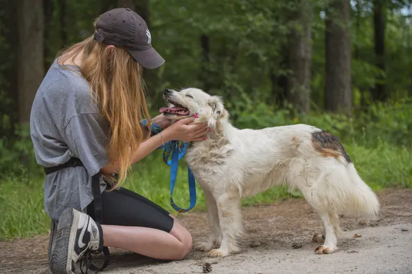 Pies do adopcji, Nowodwór, 24 czerwca 2025 (1/5)