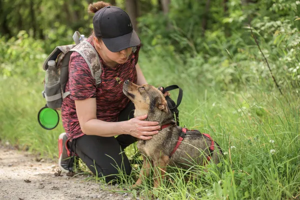 Pies do adopcji, Nowodwór, 24 czerwca 2025 (1/5)