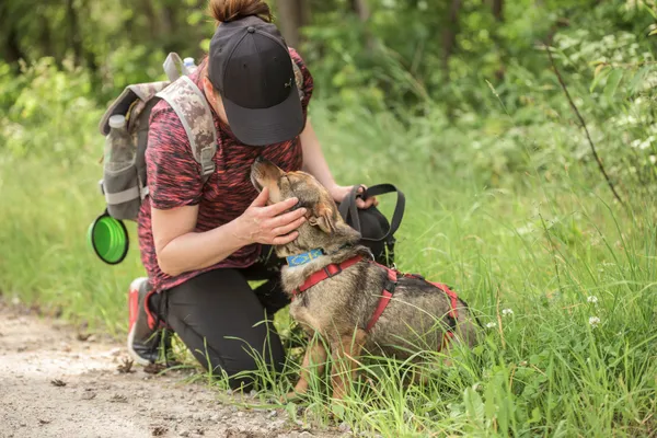 Pies do adopcji, Nowodwór, 24 czerwca 2025 (2/5)