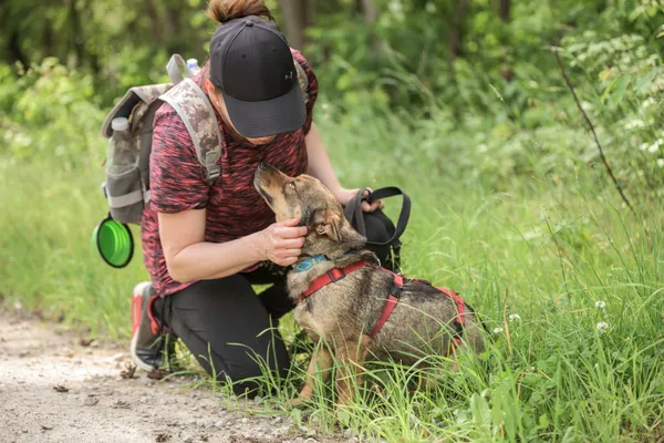 Pies do adopcji, Nowodwór, 24 czerwca 2025 (3/5)