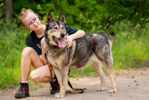 Pies do adopcji, Nowodwór, 24 czerwca 2025 (1/5)