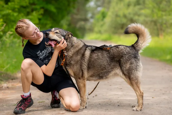 Pies do adopcji, Nowodwór, 24 czerwca 2025 (3/5)