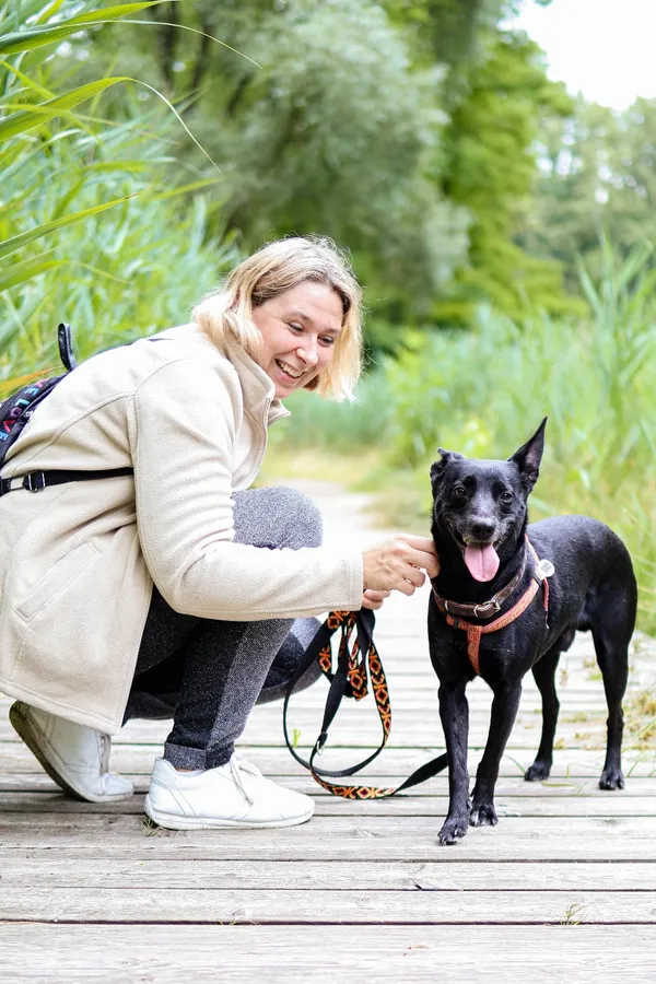 Znaleziono psa, Sosnowiec, 23 czerwca 2025 (2/5)