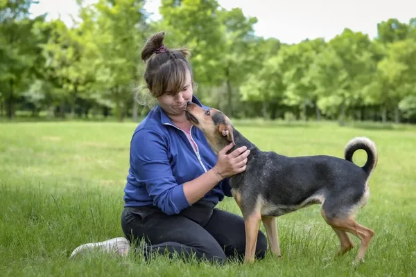 Pies do adopcji, Radom, 26 czerwca 2025 (4/5)